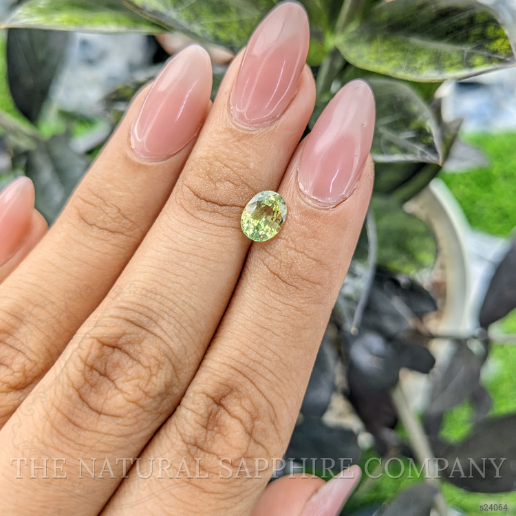 1.46 Ct. Yellowish Green Sapphire from Madagascar