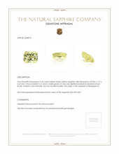 Jewelry Appraisal