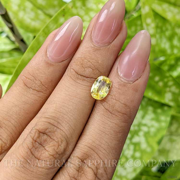1.79 Ct. Yellow Sapphire from Ceylon (Sri Lanka)