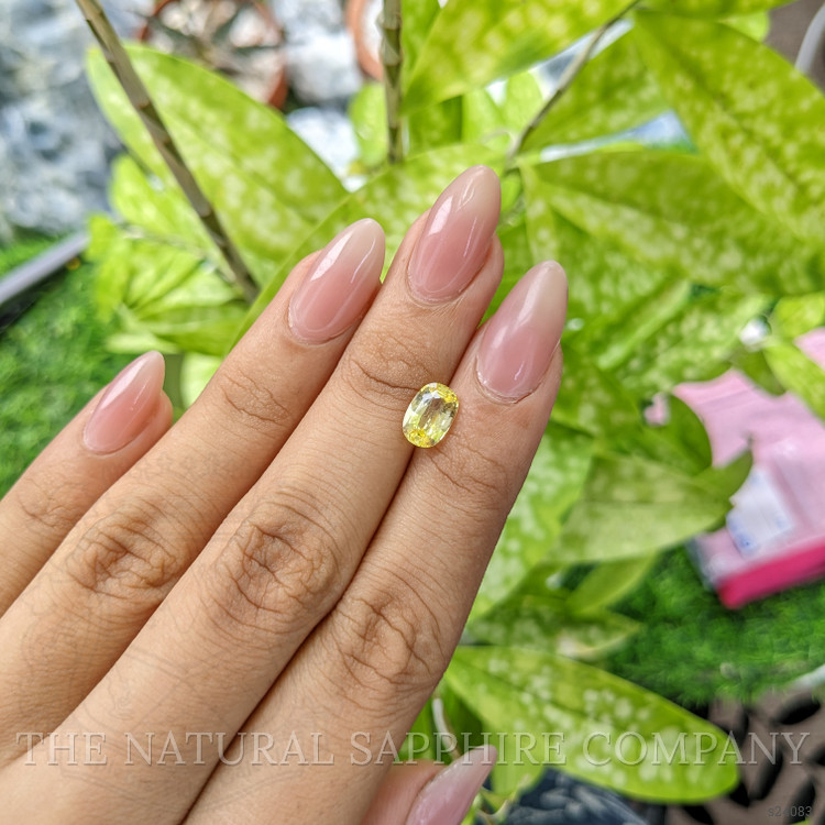 1.79 Ct. Yellow Sapphire from Ceylon (Sri Lanka)