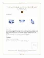 1.00 Ct. Blue Sapphire from Ceylon (Sri Lanka) Appraisal