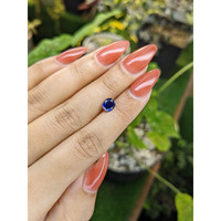 1.03 Ct. Blue Sapphire from Ceylon (Sri Lanka) Life Style