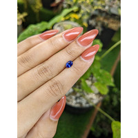 0.73 Ct. Blue Sapphire from Ceylon (Sri Lanka) Life Style