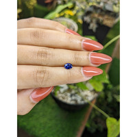 0.73 Ct. Blue Sapphire from Ceylon (Sri Lanka) Life Style