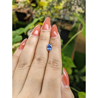 1.37 Ct. Blue Sapphire from Ceylon (Sri Lanka) Life Style