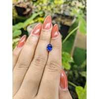 1.65 Ct. Blue Sapphire from Ceylon (Sri Lanka) Life Style