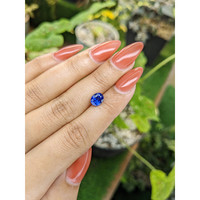 1.65 Ct. Blue Sapphire from Ceylon (Sri Lanka) Life Style