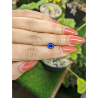 1.65 Ct. Blue Sapphire from Ceylon (Sri Lanka) Life Style