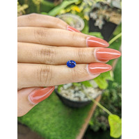 1.15 Ct. Blue Sapphire from Ceylon (Sri Lanka) Life Style