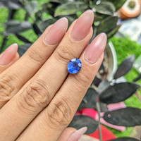 3.10 Ct. Blue Sapphire from Ceylon (Sri Lanka) Life Style