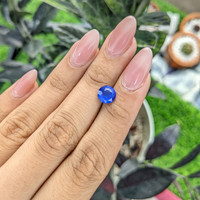 2.20 Ct. Blue Sapphire from Ceylon (Sri Lanka) Life Style
