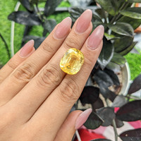 32.05 Ct. Yellow Sapphire from Ceylon (Sri Lanka) Life Style
