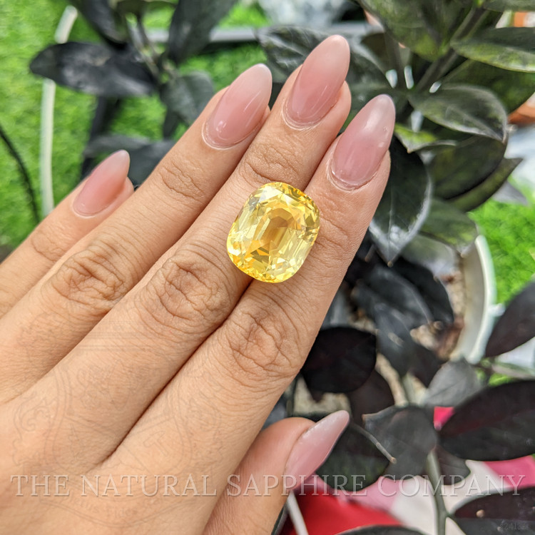 32.05 Ct. Yellow Sapphire from Ceylon (Sri Lanka)