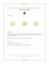 2.77 Ct. Yellow Star Sapphire from Burma (Myanmar) Appraisal