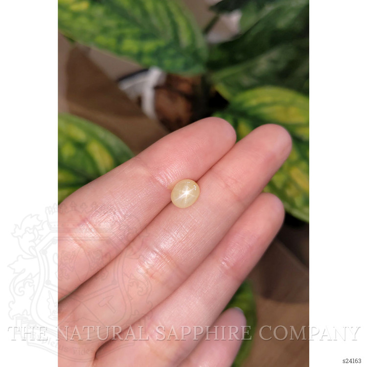 2.77 Ct. Yellow Star Sapphire from Burma (Myanmar)
