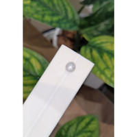 1.99 Ct. Grey Star Sapphire from Burma (Myanmar) Life Style