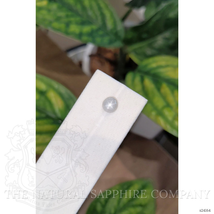 1.99 Ct. Grey Star Sapphire from Burma (Myanmar)