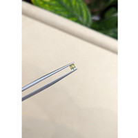 0.28 Ct. Bi Color Sapphire from Madagascar Life Style