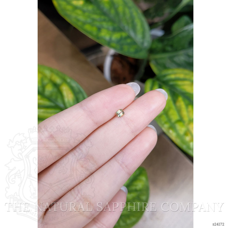 0.28 Ct. Bi Color Sapphire from Madagascar