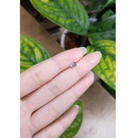 0.41 Ct. Bi Color Sapphire from Madagascar Life Style