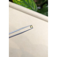 0.47 Ct. Bi Color Sapphire from Madagascar Life Style