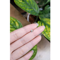 0.51 Ct. Bi Color Sapphire from Madagascar Life Style