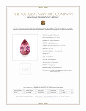 Jewelry Scan Report