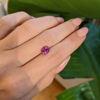 1.64 Ct. Pink Sapphire from Ceylon (Sri Lanka) Life Style