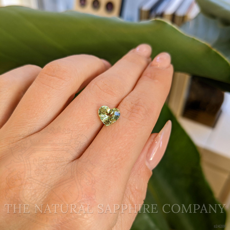 2.13 Ct. Greenish Yellow Sapphire from Ceylon (Sri Lanka)