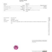 Jewelry Scan Report