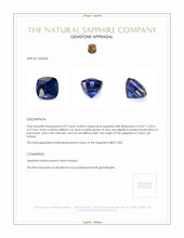 0.97 Ct. Sapphire from Ceylon (Sri Lanka) Appraisal