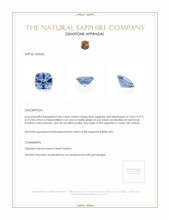 0.82 Ct. Blue Sapphire from Ceylon (Sri Lanka) Appraisal