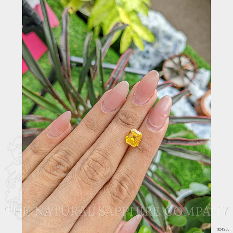 2.84 Ct. Yellow Sapphire from Ceylon (Sri Lanka)