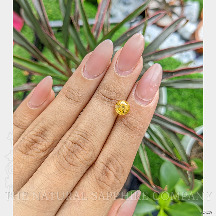 2.00 Ct. Yellow Sapphire from Ceylon (Sri Lanka)