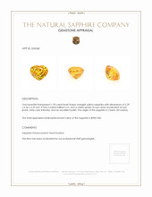 1.20 Ct. Orangish Yellow Sapphire from Ceylon (Sri Lanka) Appraisal
