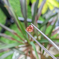 0.83 Ct. Padparadscha Sapphire from Madagascar Life Style