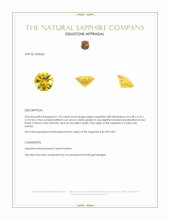 1.02 Ct. Yellow Sapphire from Ceylon (Sri Lanka) Appraisal