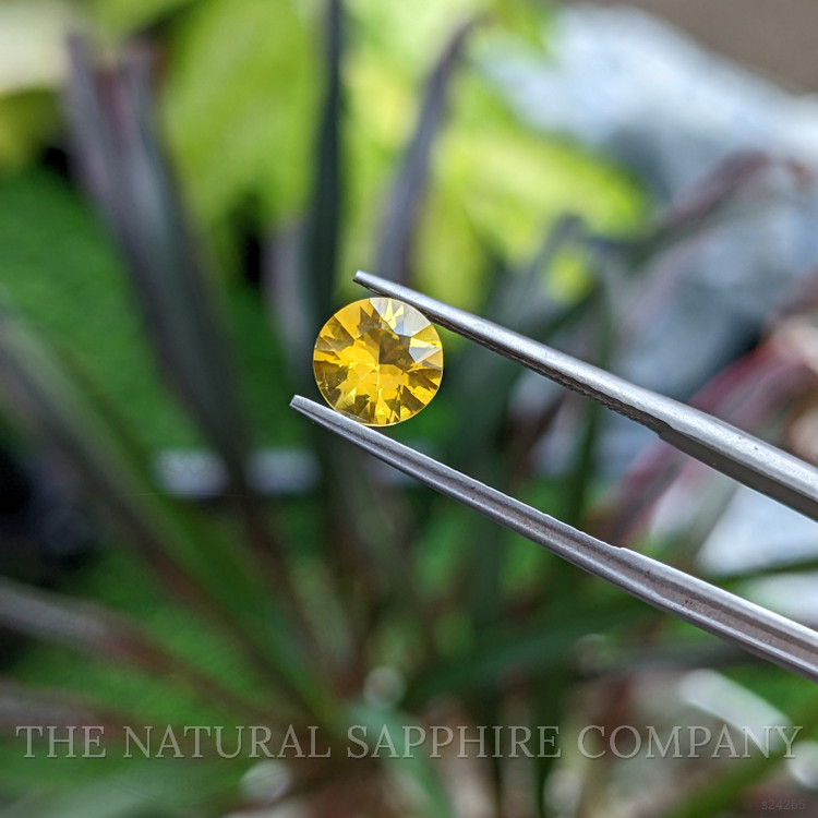 1.02 Ct. Yellow Sapphire from Ceylon (Sri Lanka)