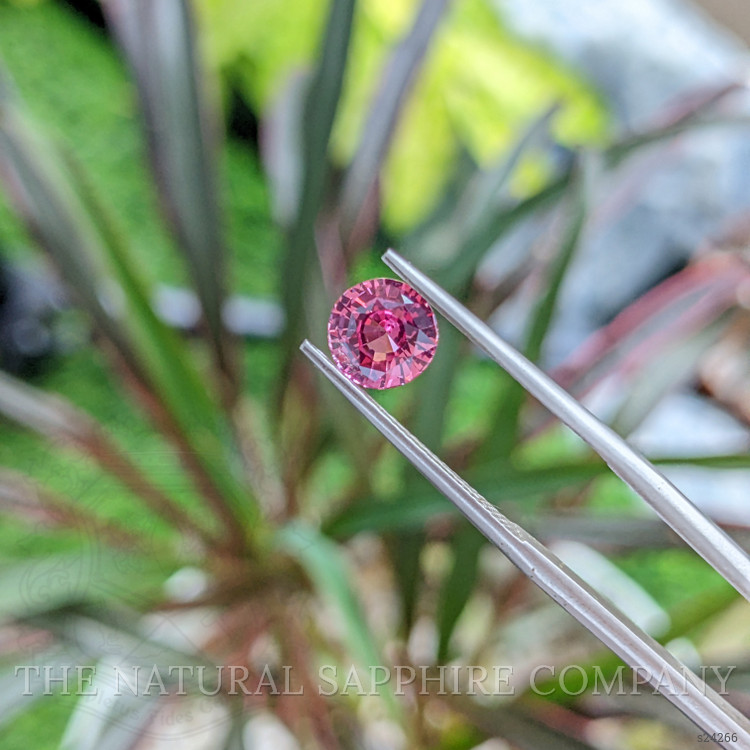 1.40 Ct. Pink Sapphire from Ceylon (Sri Lanka)
