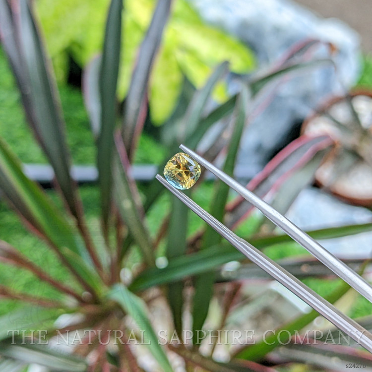 1.25 Ct. Bi Color Sapphire from Ceylon (Sri Lanka)
