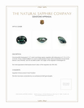 Jewelry Appraisal