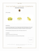 3.06 Ct. Sapphire from Ceylon (Sri Lanka) Appraisal