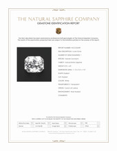 Jewelry Scan Report