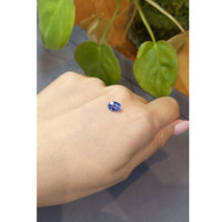 1.56 Ct. Blue Sapphire from Ceylon (Sri Lanka) Life Style