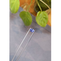 1.68 Ct. Blue Sapphire from Ceylon (Sri Lanka) Life Style