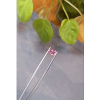 1.17 Ct. Padparadscha Sapphire from Ceylon (Sri Lanka) Life Style