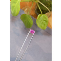 1.70 Ct. Pink Sapphire from Ceylon (Sri Lanka) Life Style