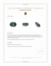 1.04 Ct. Bluish Green Sapphire from Ceylon (Sri Lanka) Appraisal