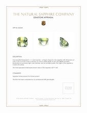 1.11 Ct. Bi Color Sapphire from Ceylon (Sri Lanka) Appraisal