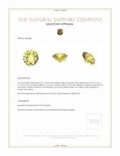 0.97 Ct. Sapphire from Ceylon (Sri Lanka) Appraisal
